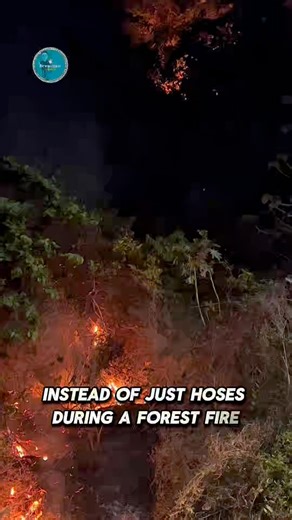 Have you ever wondered why firefighters bring shovels and rakes like they’re gardening — when there’s a bush or forest fire? 🔥 Fire Lines During Wildland Fires When the forest burns, firefighters fight back not just with water but with strategy. A fire line (or control line) is one of the most effective defenses against wildland fire spread. It’s a cleared strip of ground where grass, brush, and organic debris are scraped away down to bare mineral soil, forming a barrier that fire cannot cross.
