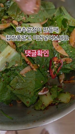 배추겉절이 만들때 찹쌀풀말고 이것넣어보세요