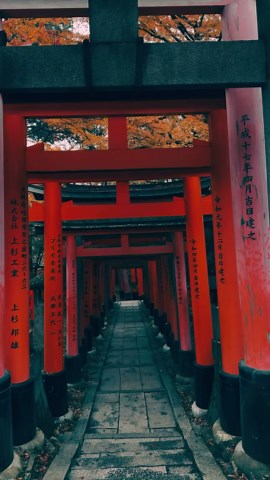 Exploring Kyoto’s scenic streets at a relaxed pace
