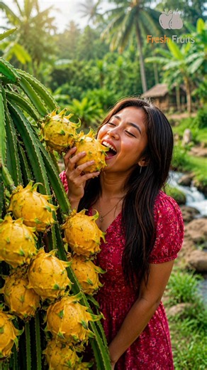 Enjoy Beautiful nature with rural life - Taste the Sweetness of Nature! ✂️😋🍊🥭🍒 #shorts #fruit