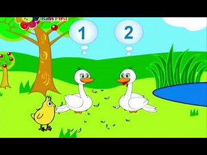 The Numbers Farm 2 Goose 2 Goats | Babyfirst TV