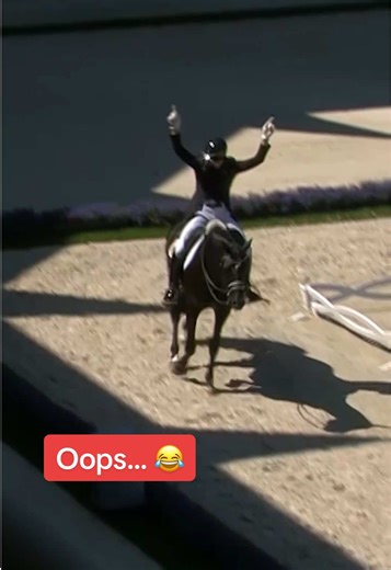 Pferde stehen im Mittelpunkt: Lustige Momente aus der Dressur