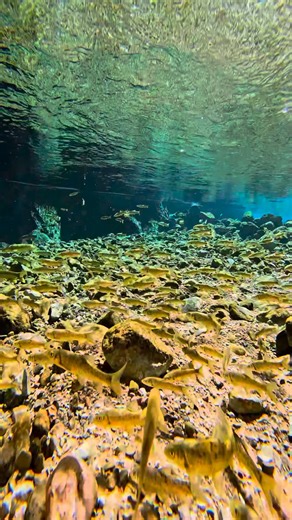 Finding Hidden Gems in Morocco 🙏🏼 GoPro x Intrepid Travel GoPro Intrepid Travel #OnlyIntrepid #Gifted #GoPro #GoProTravel #goproanz #morocco #visitmorocco | Mitchell Pettigrew Photography