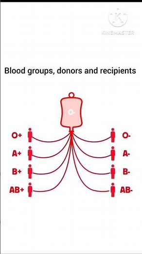 Ultimate Blood Type Compatibility Guide for Donating and Receiving Blood #science #bloodonation