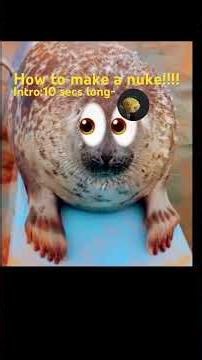 Nuke ❤️ #howtobasic #essa #seal