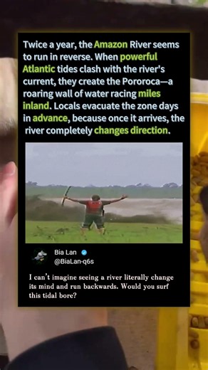 The Day The Amazon River Started Flowing BACKWARD! 🌊 #Nature #Earth #Geography