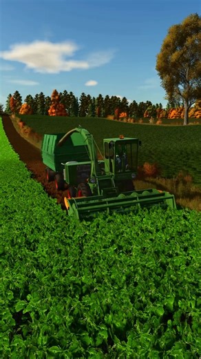 61K views · 299 reactions | Chopping mustard with ORKAN FMZ Z 320 | Lipinki | Farming Simulator 25 . . . . . #farmingsimulator #fs25mods #ls25mods #fs25 #farmsim #farming #maruntzelu #farminglife #fypviral #ls25 #fs #fyp #games #gaming #onlinegaming #ls22mods #ls22 #ls #farmingsimulator25 #fblifestyle | 64b17zu Farming Simulator | Facebook