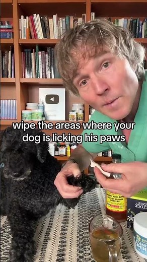 Dog won’t stop licking his paws? Awesome Home Remedy!