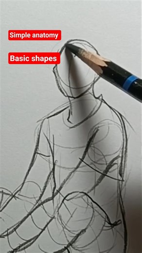 basic anatomy drawing tutorial