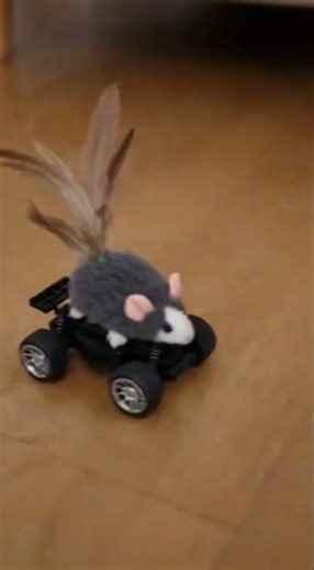 Epic Cat Reaction to Sneaky Remote Control Mouse Prank! #cat #shorts