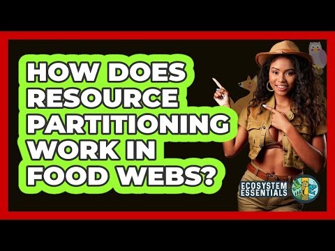How Does Resource Partitioning Work In Food Webs? - Ecosystem Essentials