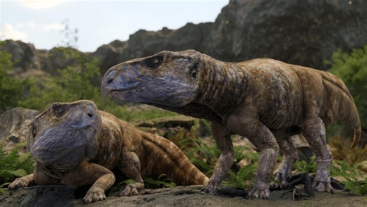 Europe's Missing Ceratopsian Dinosaurs Have Been Found And They're Quite Diverse