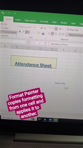Excel Time-Saving Tip: Format Painter