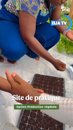 Chez nous, la formation pratique, professionnelle est de mise afin d’avoir au soir de de cette formation un taux d’insertion de nos Étudiants très élevé. | Institut Supérieur Jardin d’Afrique - ISJA