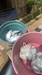 Bagaimana tidak ma bolong kalo matahari tdk mau kerja sama🤣🤣 #jangkauansemuaorang #fypfbpro | Fitri Wulan Dari