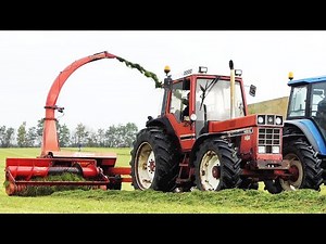 Case IH 1056 XL in the field chopping grass w/ Kverneland TA 622 Forage Harvester | Silage Day