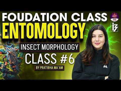 Foundation Class for Agriculture Exams | Entomology | Insect Morphology | By Pratibha Ma’am