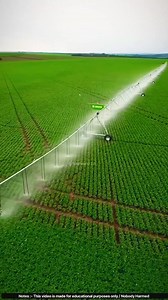 D@ngerous irrigation wells in Japan 😲 | Asare Obed