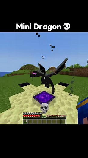 PSG MAFIA on Instagram: "Spawning mini dragon in Minecraft 💀#minecraft"