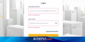 Lapor Pajak Online 2025 Masih Pakai EFIN? Berikut Penjelasan DJP