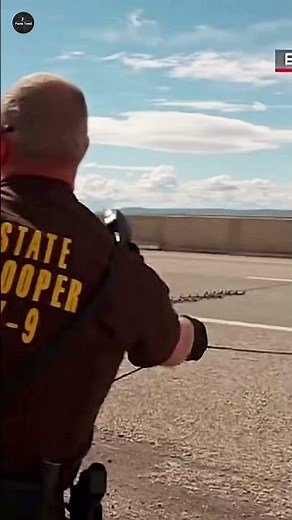 Spike Strip ఎలా పనిచేస్తుంది🤔| #shorts #trending #viral