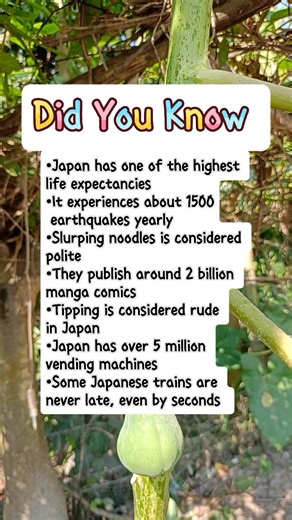 Fascinating Japan Facts You’ll Love #facts | IQ&Math 2.2