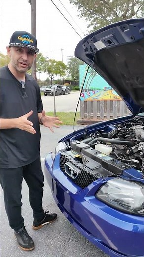 "Top Down, Power On: 2004 Mustang Convertible Vibes!"