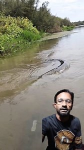 2.5M views · 19K reactions | মাশাল্লাহ সুবাহানাল্লাহ কত বড় #fishing #rills #videos # | Kadu Miah | Facebook