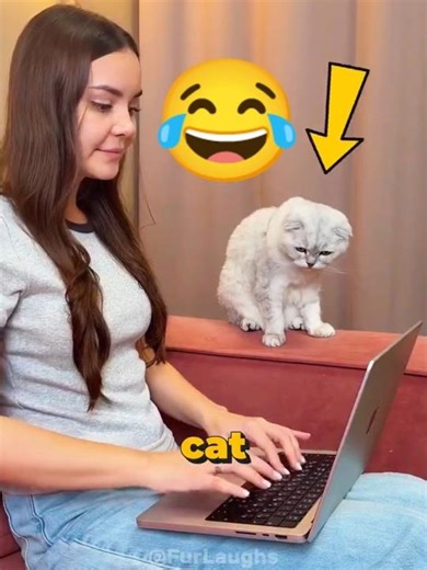 Cat Orders a Mouse Online… But Gets THIS Instead 😳