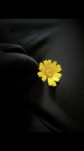 #kheyria♥️✔💫 #dhiirigalin💯🗣️ #yaasirmuqtaar #plzviral🥺🥺🙏🙏foryoupage waa maxay waxa ugu adag nolosha