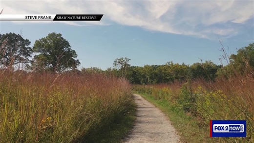 WATCH LIVE: FOX 2's Chris Higgins shares the latest on St. Louis weather. | Fox2Now