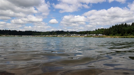 Turner Lake health advisory issued due to cyanobacteria bloom harmful to pets, people