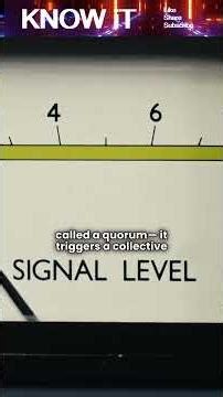 What is Quorum Sensing? 🦠
