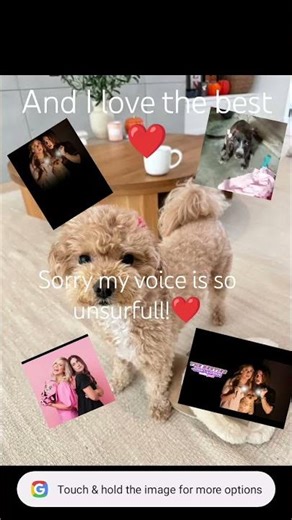 #the bestie Roblox ❤🎀 #everyone #memes #funny