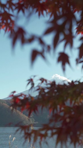 Get 20% OFF this week with code NATURAL20 A high strength and highly...