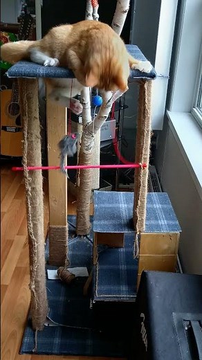 My 1st multi tier cat scratching post! DIY wood project used scraps, a broken tree & new carpet.