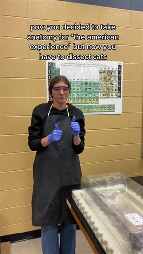 it’s not funny funny #exchangestudent#exchangeyear#fyp#yolo