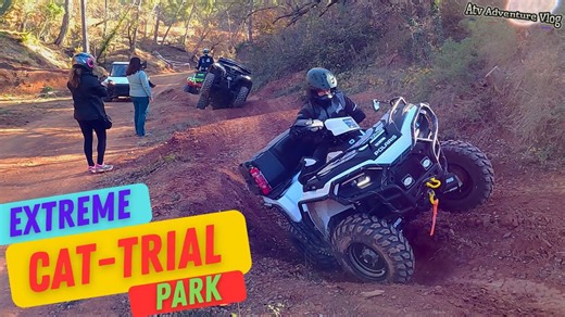 Crazy cat trial park off road adventure