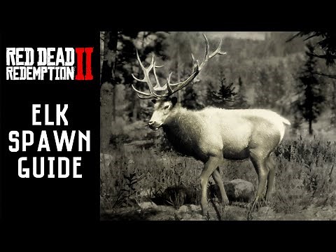 RDR2 - Rocky Mountain Bull & Cow Elk Locations (Red Dead Redemption 2)