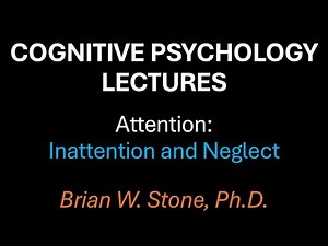 Cognitive Psychology - Attention Pt6 - Inattention and Neglect
