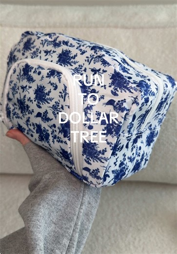 Discover Dollar Tree Organization Hacks for Moms