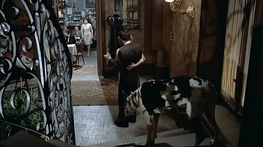 Lacombe Lucien (Louis Malle, 1974)