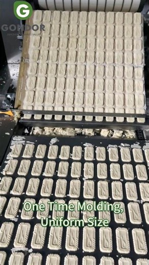 Automate Biscuit Production with Rotary Moulding Machine! 🍪🏭#biscuitmakingmachine #cookiemachine