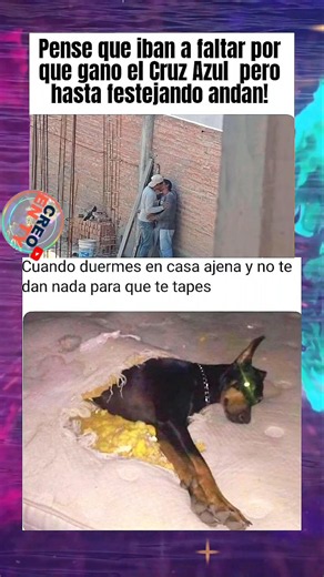 Esos Son Del America o jajajaja 🤣 #memes #humor #risas #happy #foryou #memes