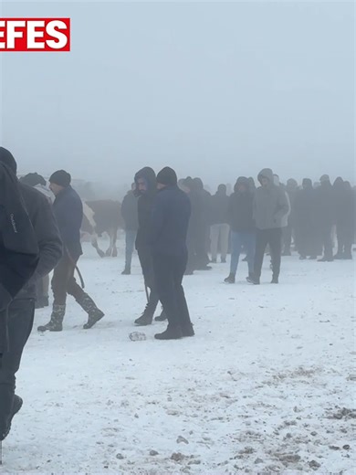 Ağrı'da Donma Havası: Vatandaşların Saçları Buz Tuttu