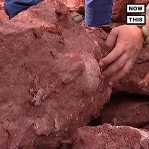 2.1M views · 3.8K shares | These dinosaur eggs are from 70 million years ago | NowThis | Facebook