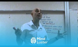 Mind Luster - Learn Risk Management Lecture 01a