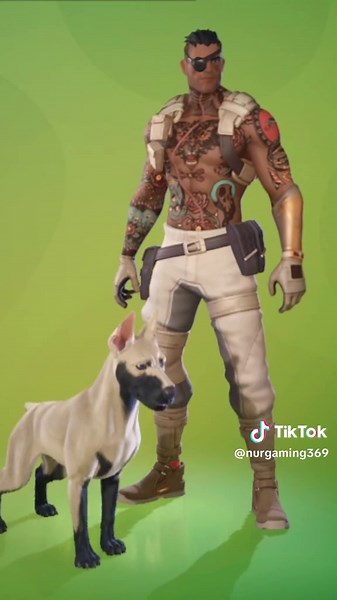Best Sidekick Name for Fortnite Companions