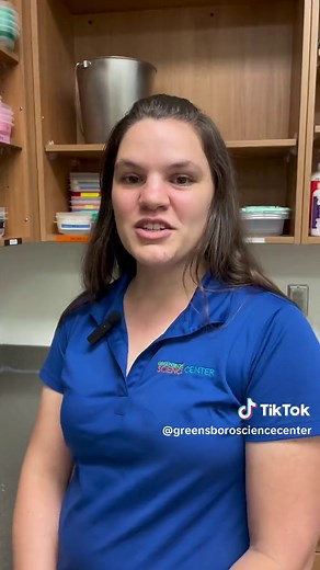 What Do Sharks Eat? Exploring Shark Diets at Greensboro Science Center