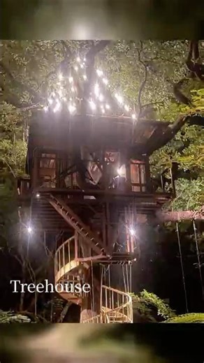 Sleeping in the forest | Treeful Treehouse in Okinawa